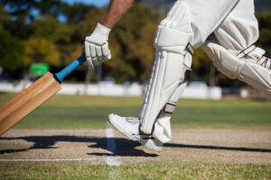 Is a Company Structure Suitable for Sports Administration? Some Reflections on Cricket South Africa