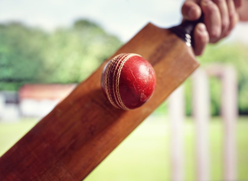 cricket bat
